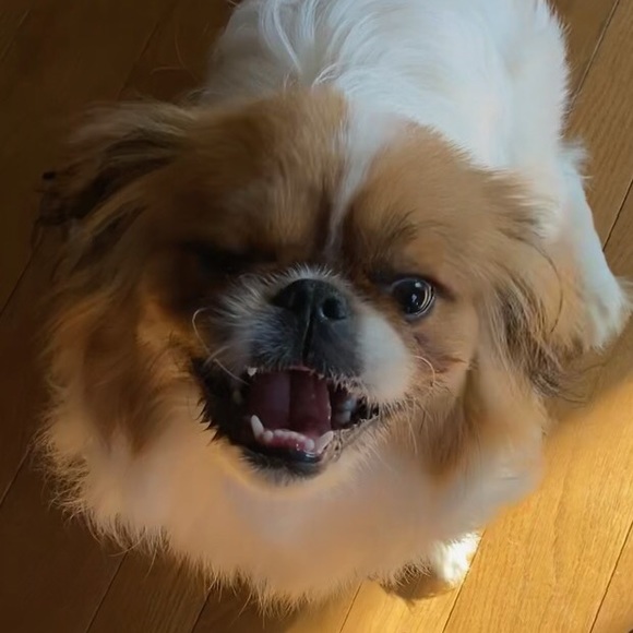 Meet your Posher, Melanie - Picture 11 of 16